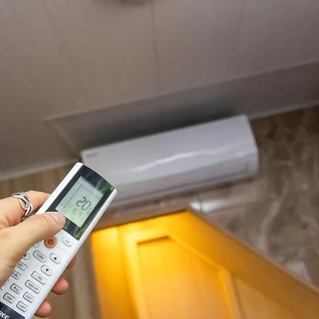 Willow In Oldtown * Klaipėda