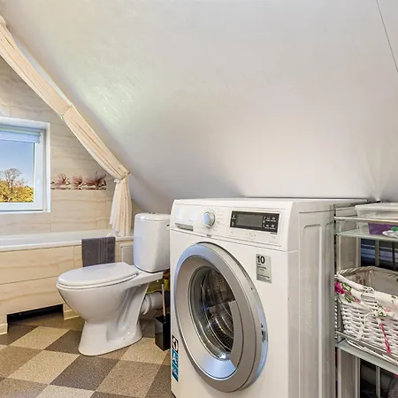 Willow In Oldtown * Klaipėda