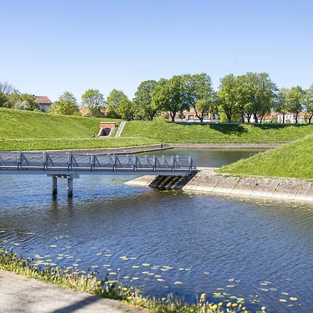 Willow In Oldtown Klaipėda